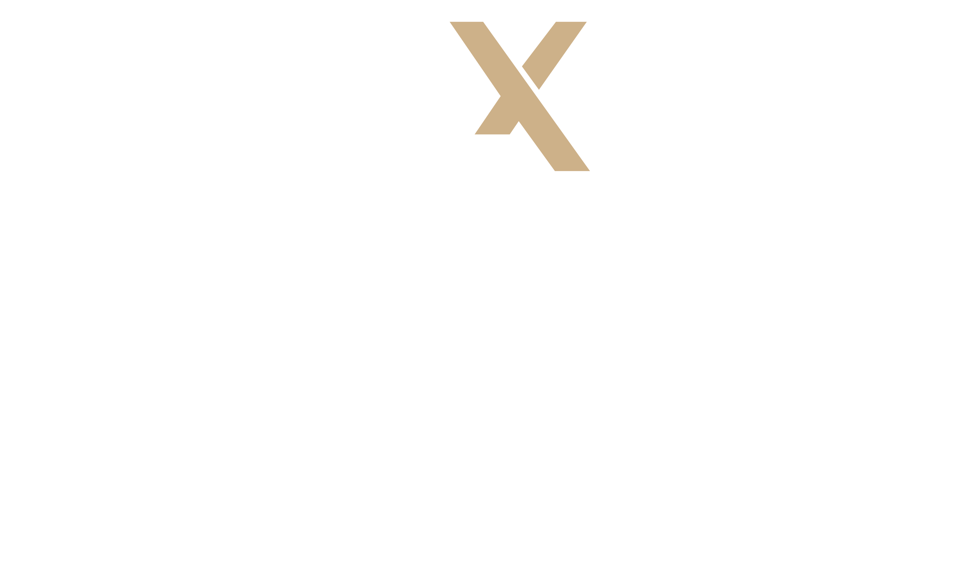 Vanquish X